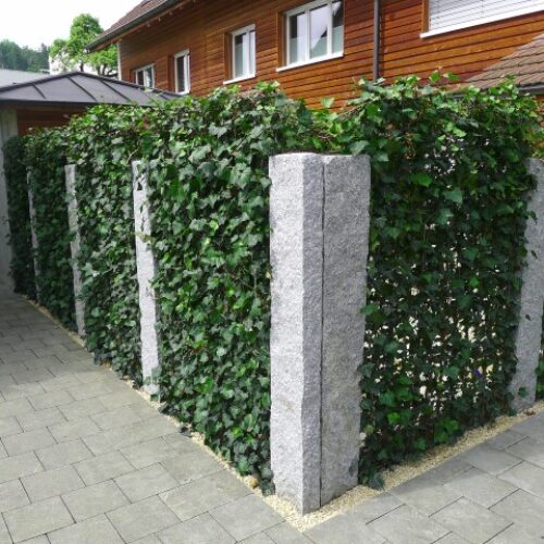 Gassmann Gartenträume GmbH, Buchs ZH - green4living